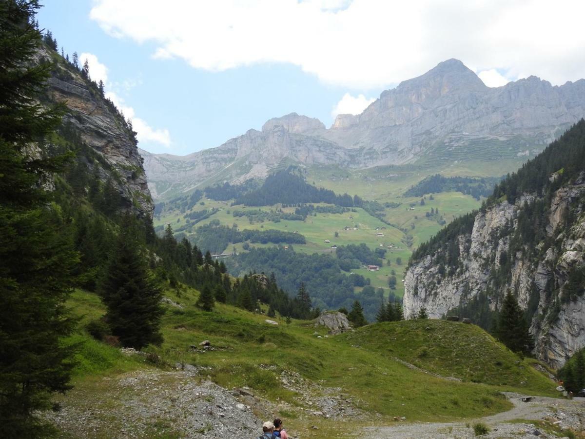 Hotel Alpina Unterschächen Eksteriør bilde